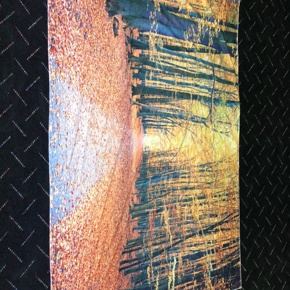 Scenic tapestry